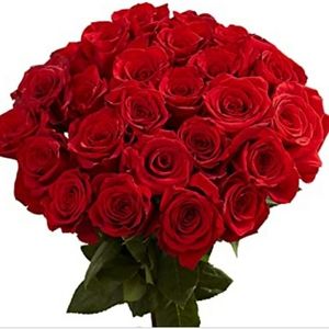 Trade for my new friend 🥰